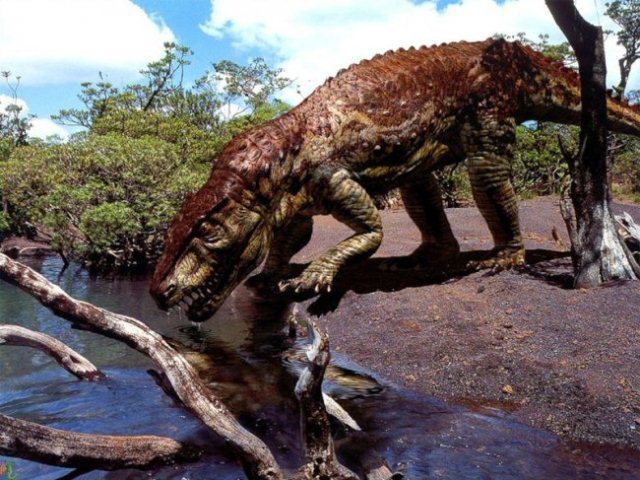 Интересные факты о динозаврах